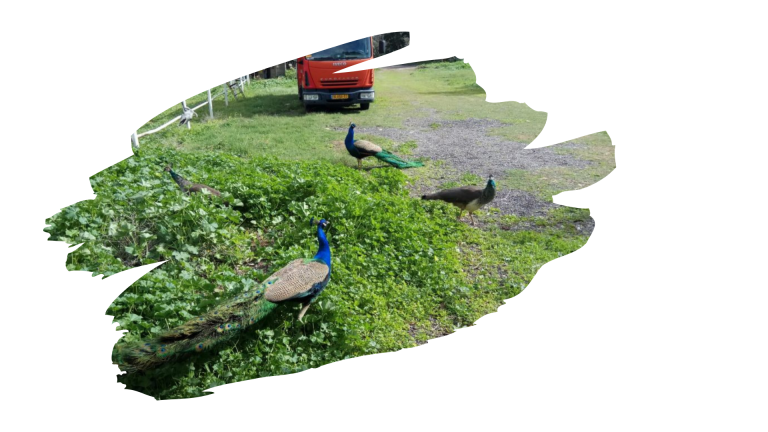 Read more about the article ששה ימים בירושלים ויום אחד בששה מקומות 19 בינואר 2018