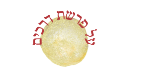 Read more about the article בפרשת דרכים – עם רות, נעמי וערפה