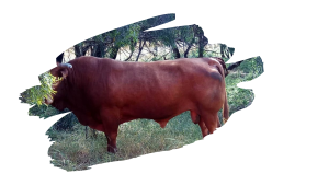 Read more about the article יאללה בוץ, 27 באפריל 2018