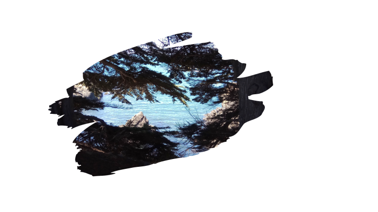 Read more about the article לחזור, 10 באוגוסט 2018