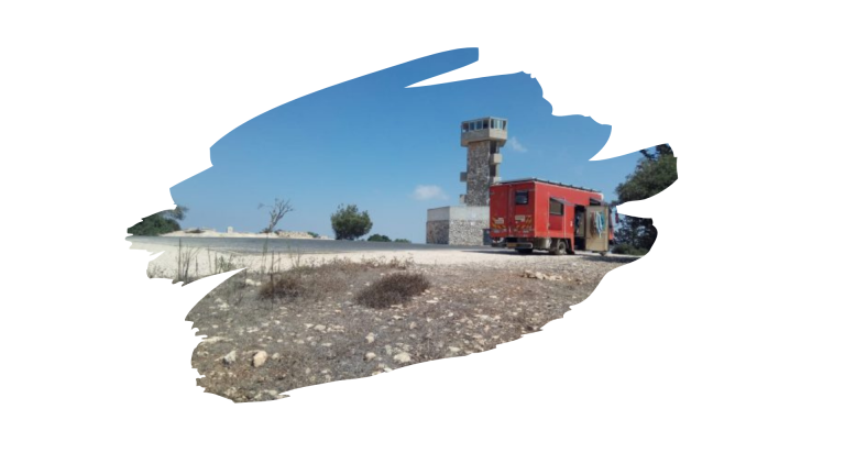 Read more about the article יומולדת חתולדת, 21 בספטמבר 2018