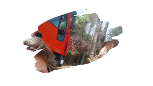 Read more about the article עמוקה, 26 באוקטובר 2018