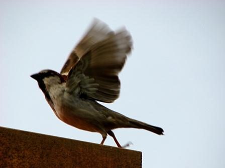 Read more about the article וסלחת