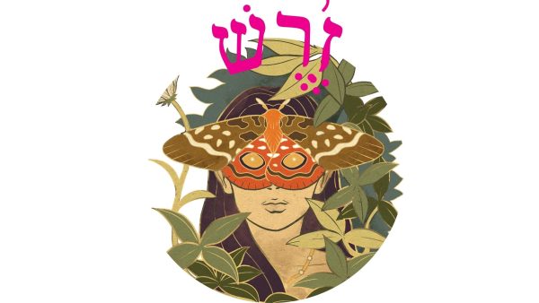 Read more about the article זֶרֶשׁ