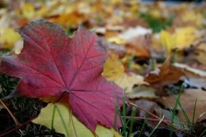 Read more about the article היי ברוכה