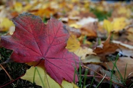 Read more about the article היי ברוכה