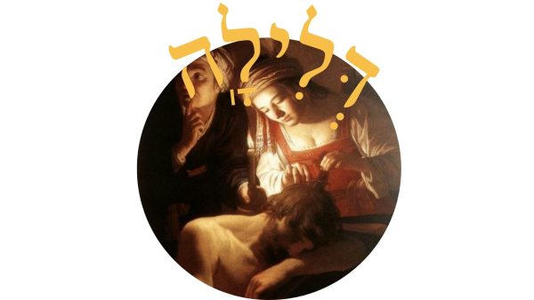 Read more about the article דלילה