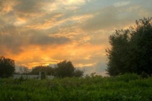 Read more about the article שאלות נפשיות בחשבון