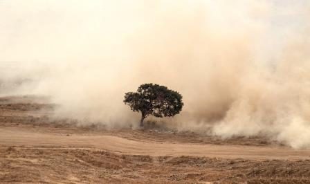 Read more about the article זרעים של חלומות