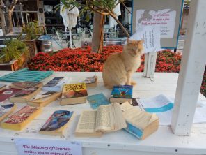 Read more about the article ימים בקצה הים