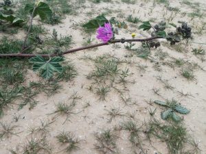 Read more about the article למצוא את המפתח