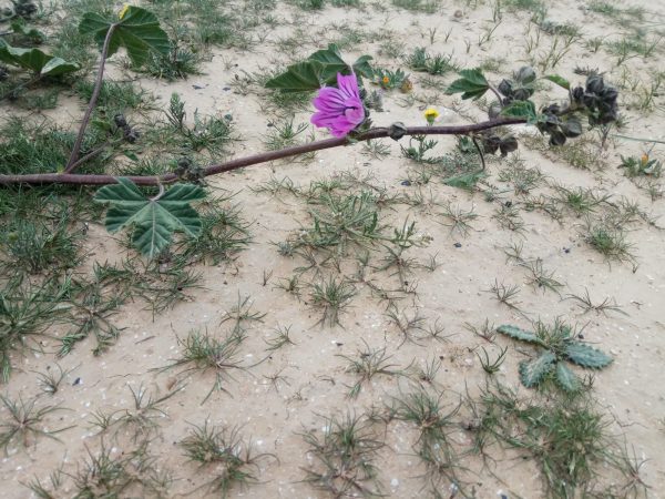 Read more about the article למצוא את המפתח