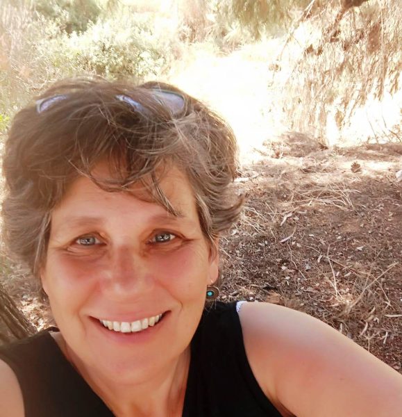 Read more about the article קיץ חזק