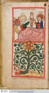 Read more about the article איזה מין תינוק אני?