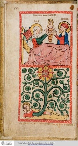 Read more about the article איזה מין תינוק אני?