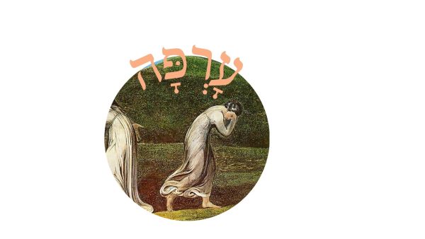 Read more about the article עָרְפָּה