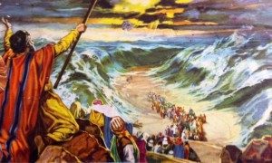 Read more about the article שלח את עצמי