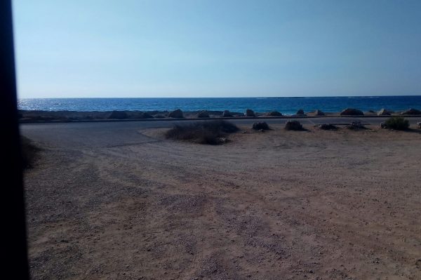 Read more about the article רעש רקע