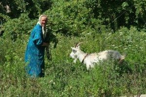 Read more about the article הזמן שבתוך הזמן