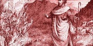 Read more about the article משה משה בחור קשה