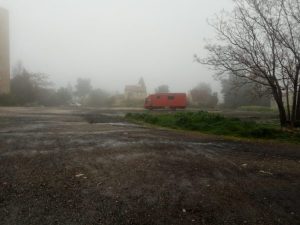 Read more about the article הורה להורות, גב תפוס ולב פתוח