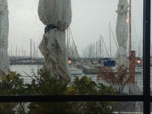 Read more about the article תמות נפשי