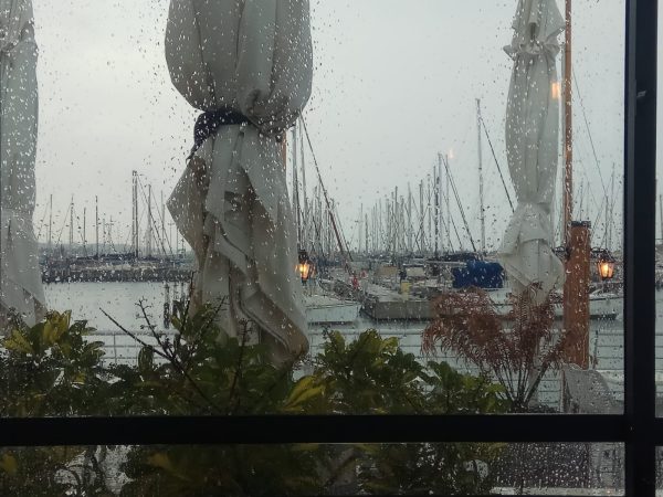 Read more about the article תמות נפשי