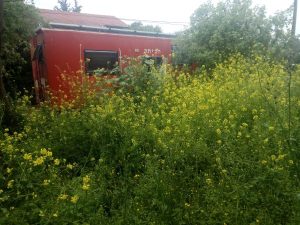 Read more about the article הממלכה האבודה