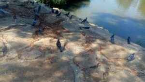 Read more about the article אפשר ללכת לירקון