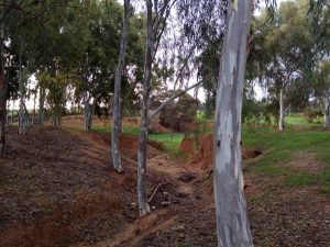 Read more about the article בין שובו לבוהו