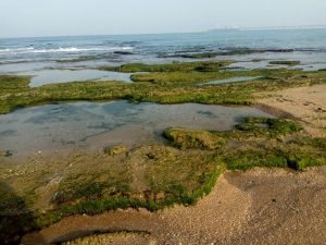 Read more about the article דרך ללא דרך