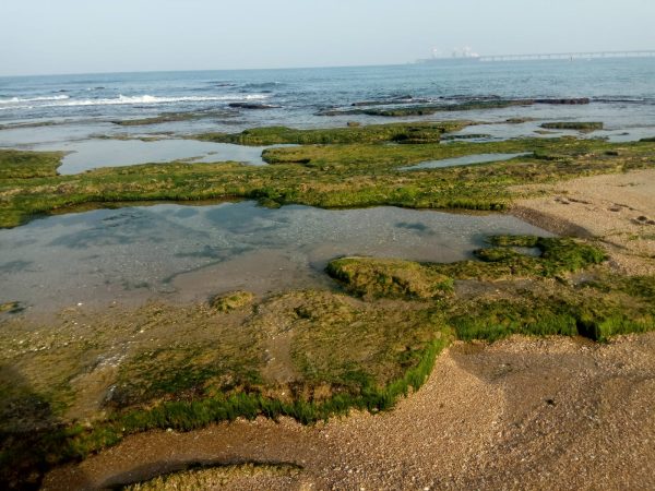 Read more about the article דרך ללא דרך