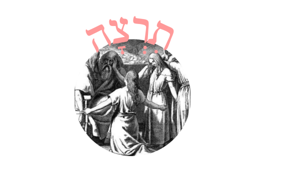 Read more about the article תִרְצָה