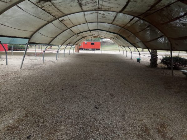 Read more about the article הרחבת אופקים