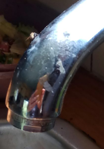 Read more about the article יאללה קיץ