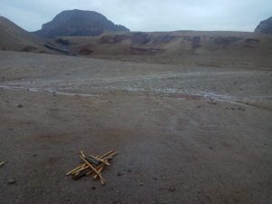 Read more about the article ססגון ושמחה