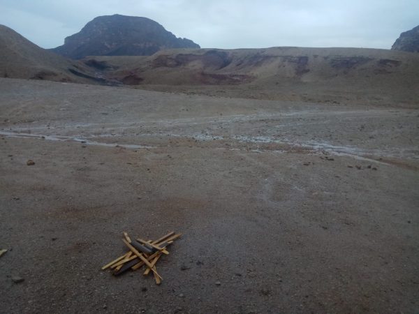 Read more about the article ססגון ושמחה