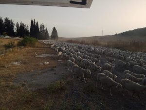 Read more about the article 7 רגעים מהשבוע שעבר