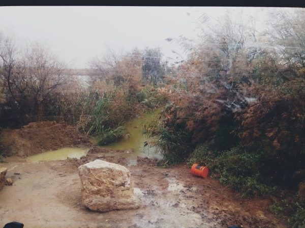 Read more about the article תשע מחשבות על גשם