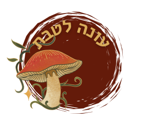 Read more about the article עונה לטבת