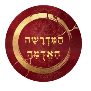 Read more about the article המדרשה האדומה
