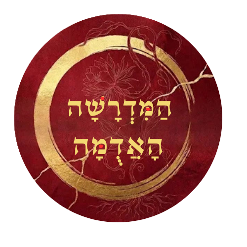 Read more about the article המדרשה האדומה